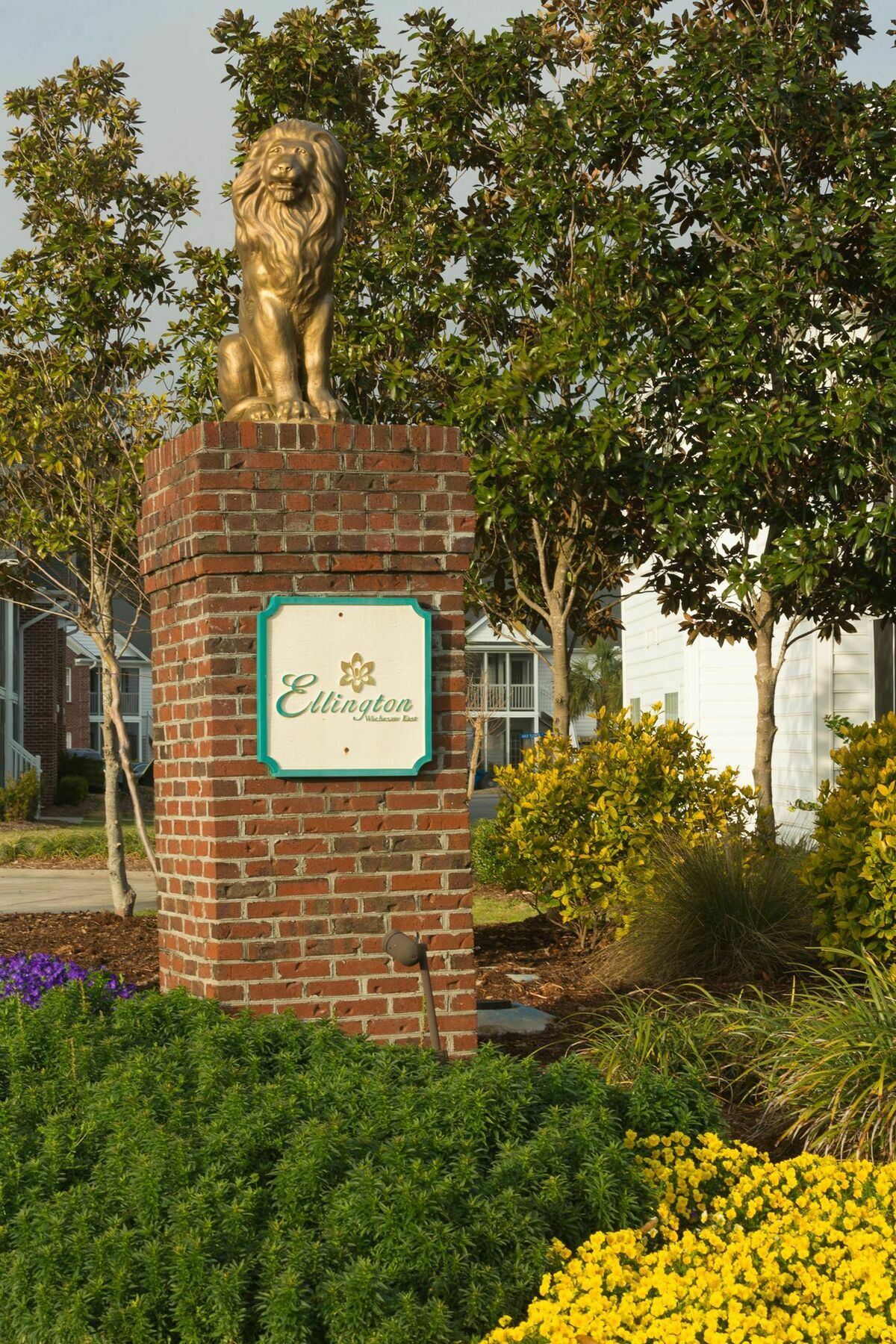 Ellington At Wachasaw Eas Aparthotel Murrells Inlet Εξωτερικό φωτογραφία