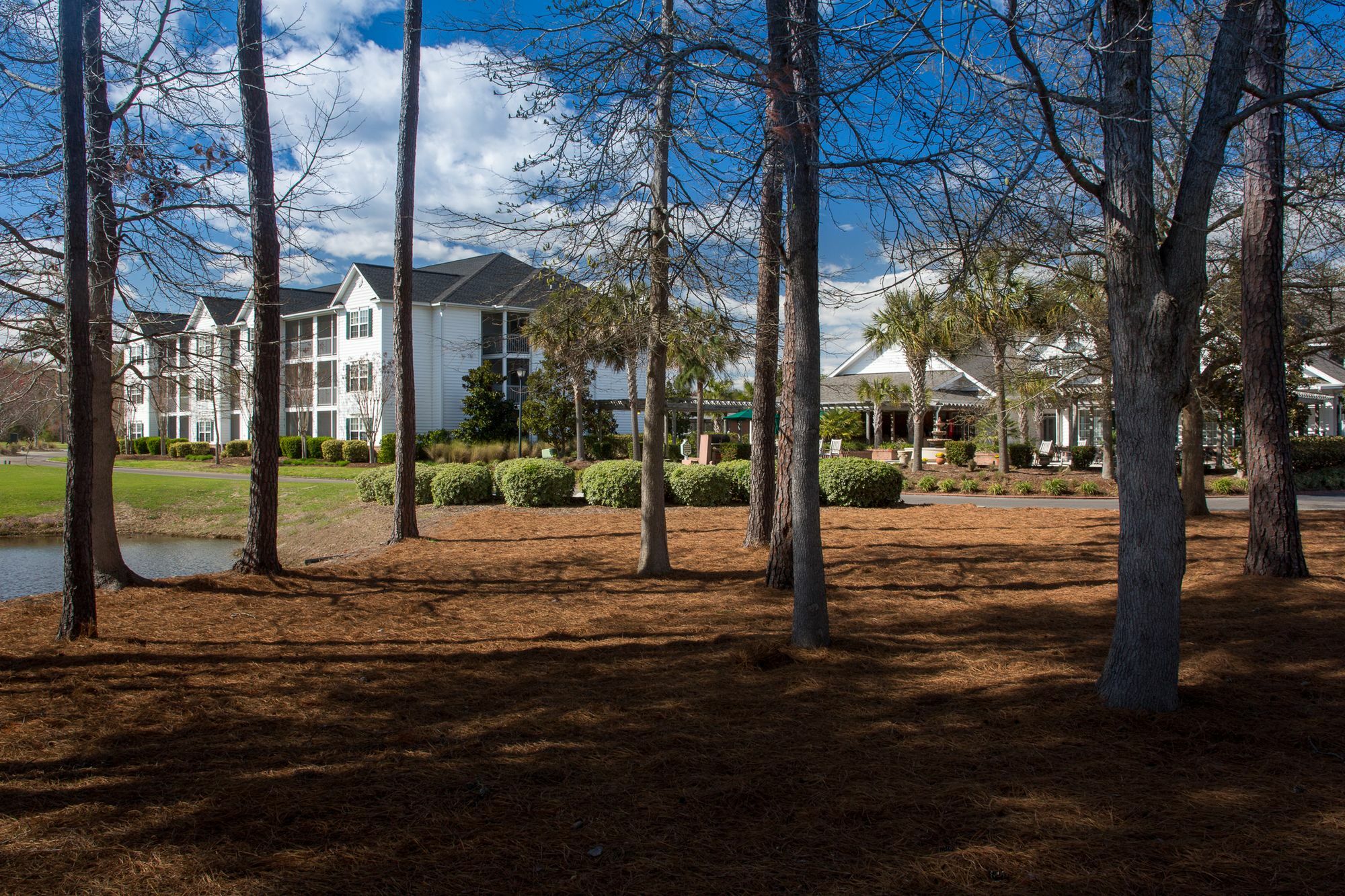 Ellington At Wachasaw Eas Aparthotel Murrells Inlet Εξωτερικό φωτογραφία